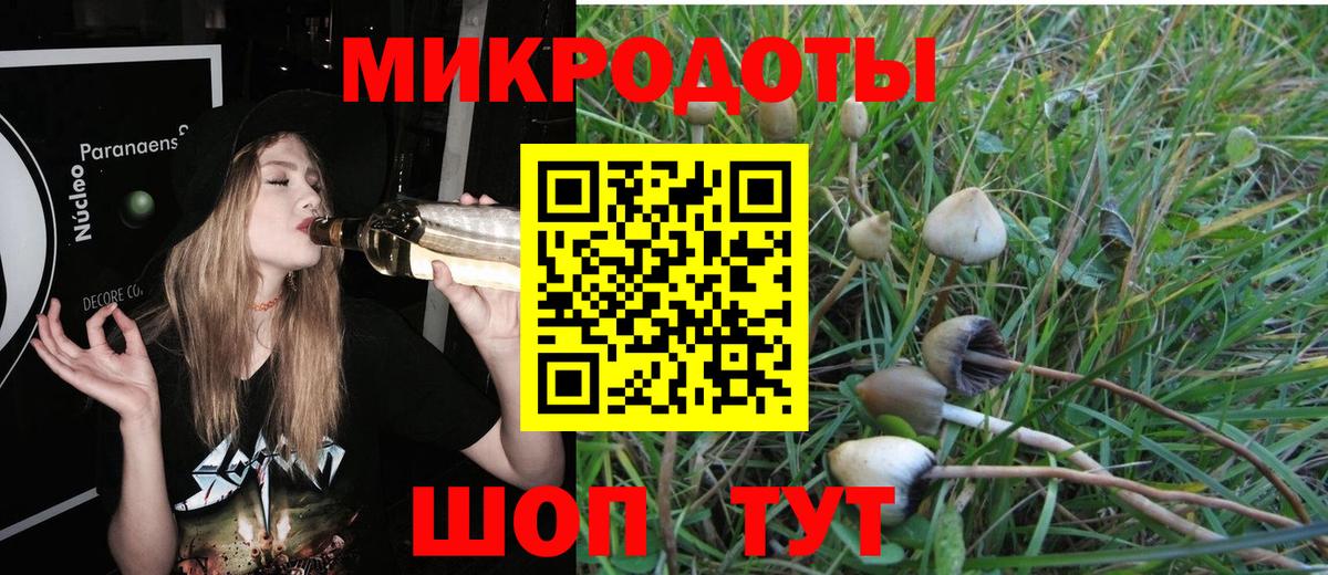 Симферополь  Галлюциногенные грибы GOLDEN TEACHER  Вход с VPN  Псилоцибиновые грибы ЛСД 